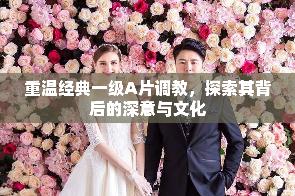 重温经典一级A片调教，探索其背后的深意与文化