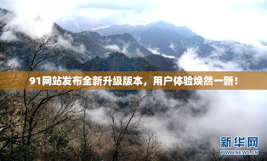91网站发布全新升级版本，用户体验焕然一新！