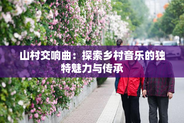 山村交响曲：探索乡村音乐的独特魅力与传承