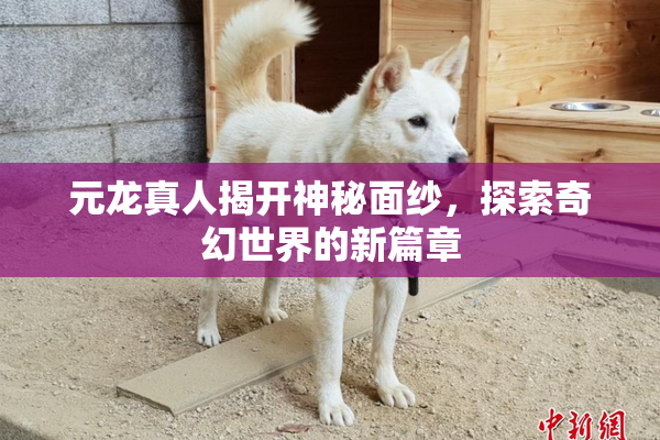 元龙真人揭开神秘面纱，探索奇幻世界的新篇章