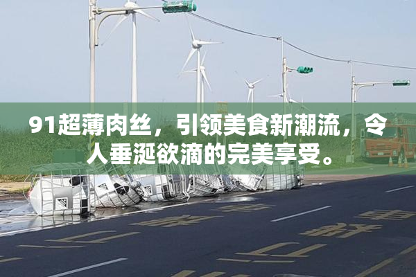 91超薄肉丝，引领美食新潮流，令人垂涎欲滴的完美享受。