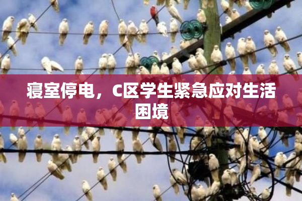 寝室停电，C区学生紧急应对生活困境
