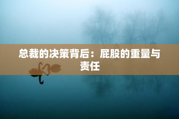 总裁的决策背后：屁股的重量与责任