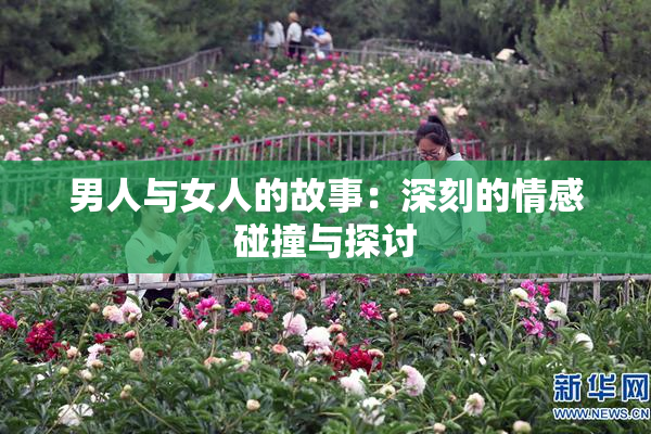 男人与女人的故事：深刻的情感碰撞与探讨