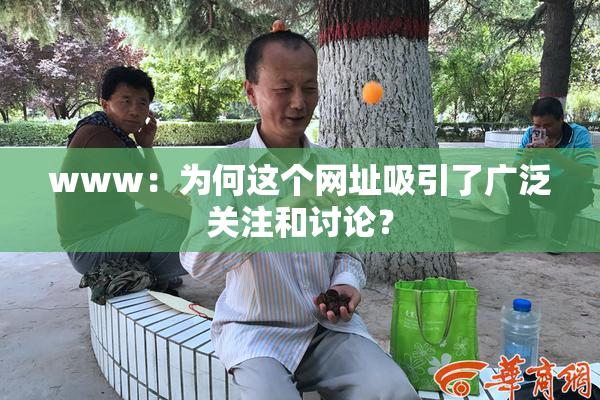 www：为何这个网址吸引了广泛关注和讨论？