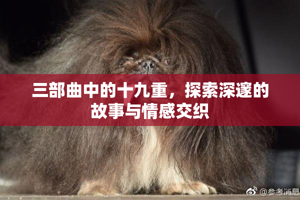 三部曲中的十九重，探索深邃的故事与情感交织