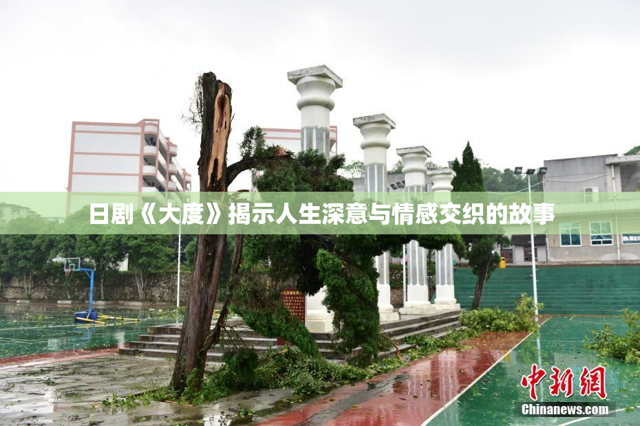 日剧《大度》揭示人生深意与情感交织的故事
