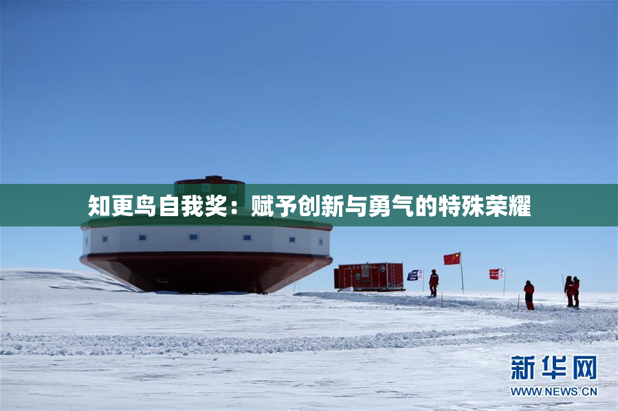 知更鸟自我奖：赋予创新与勇气的特殊荣耀