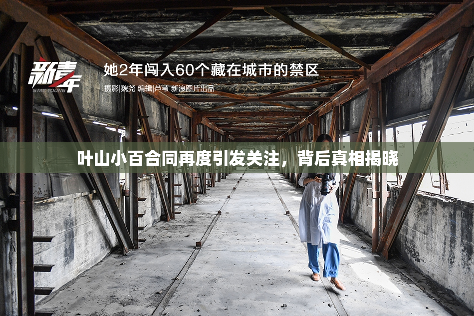 叶山小百合同再度引发关注，背后真相揭晓