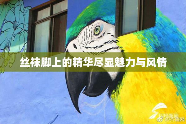 丝袜脚上的精华尽显魅力与风情