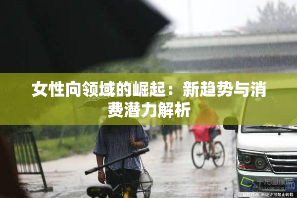 女性向领域的崛起：新趋势与消费潜力解析