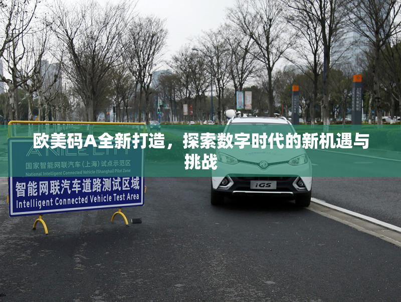 欧美码A全新打造，探索数字时代的新机遇与挑战
