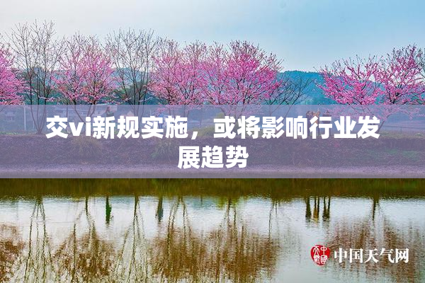 交vi新规实施，或将影响行业发展趋势
