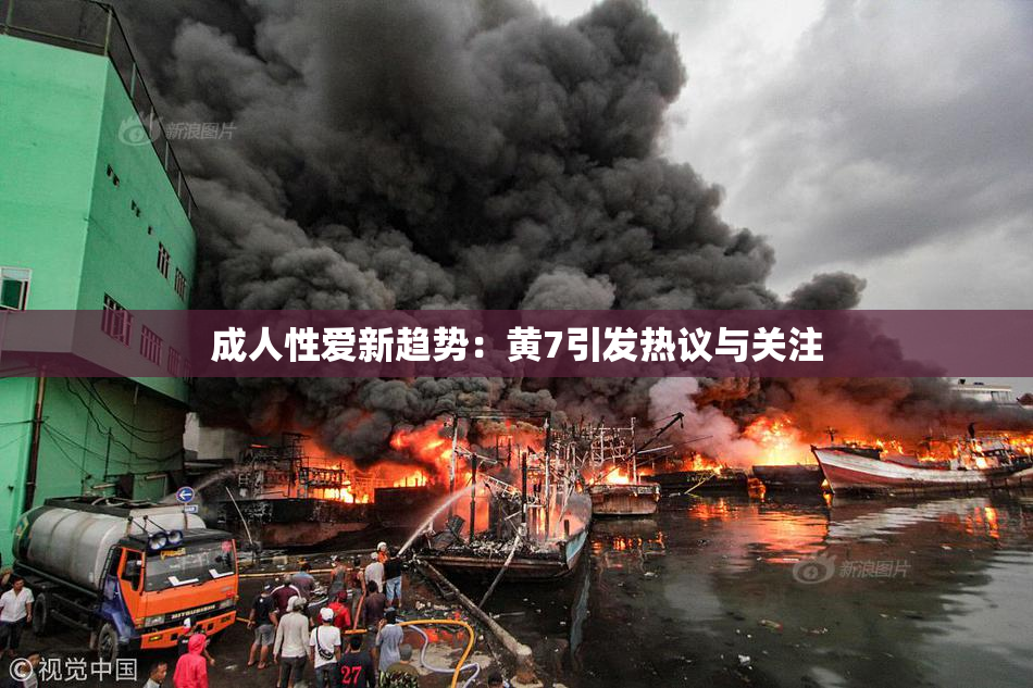成人性爱新趋势：黄7引发热议与关注