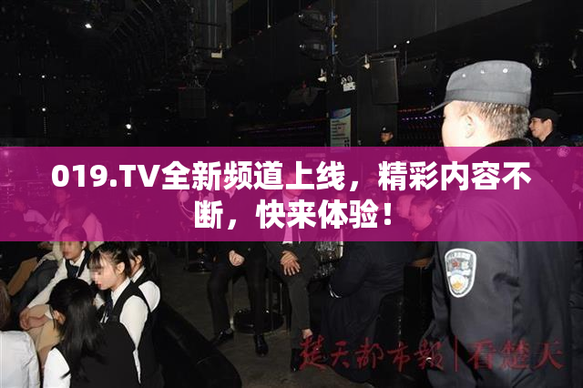 019.TV全新频道上线，精彩内容不断，快来体验！