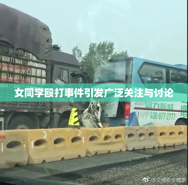 女同学殴打事件引发广泛关注与讨论