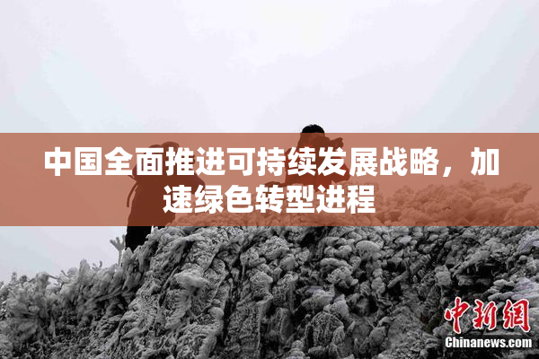 中国全面推进可持续发展战略，加速绿色转型进程