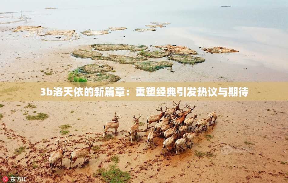 3b洛天依的新篇章：重塑经典引发热议与期待