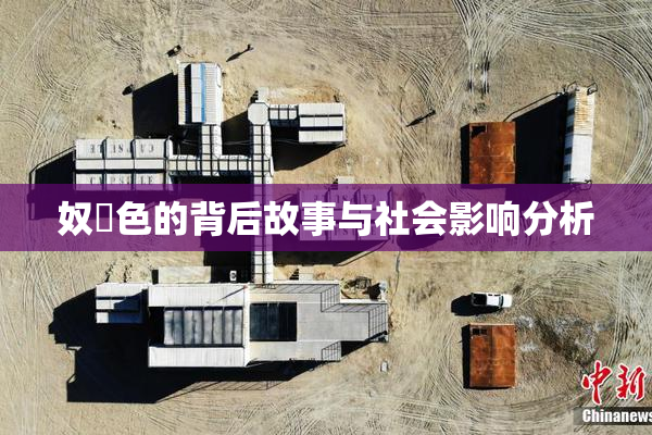 奴隷色的背后故事与社会影响分析