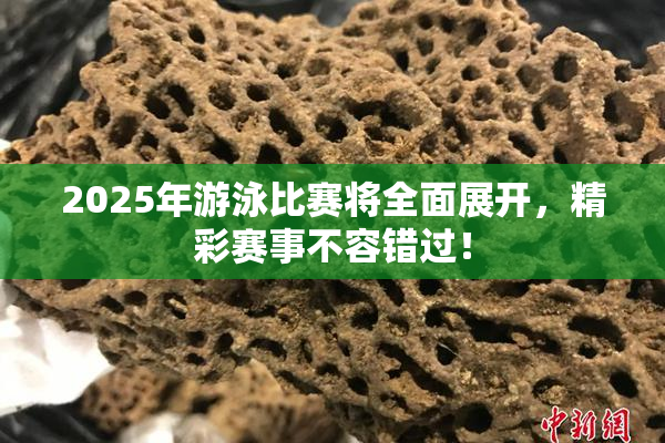 2025年游泳比赛将全面展开，精彩赛事不容错过！