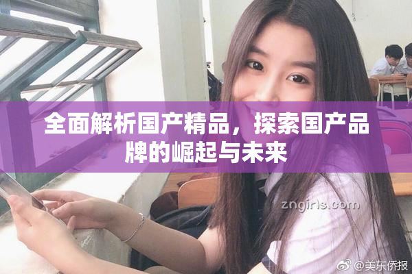 全面解析国产精品，探索国产品牌的崛起与未来