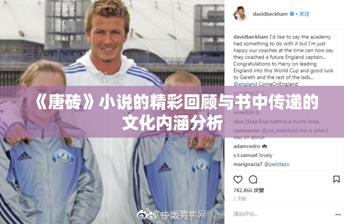 《唐砖》小说的精彩回顾与书中传递的文化内涵分析