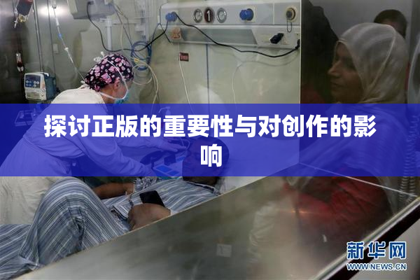 探讨正版的重要性与对创作的影响