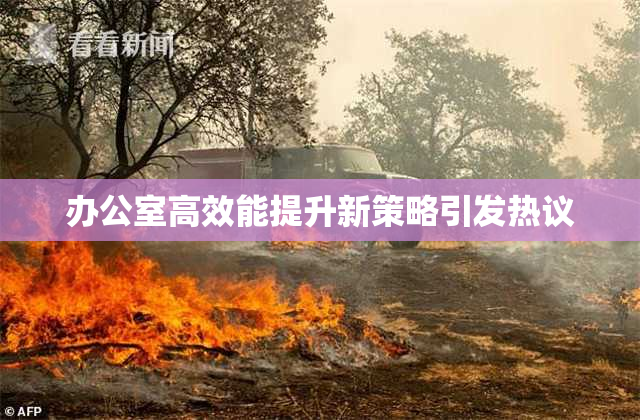 办公室高效能提升新策略引发热议