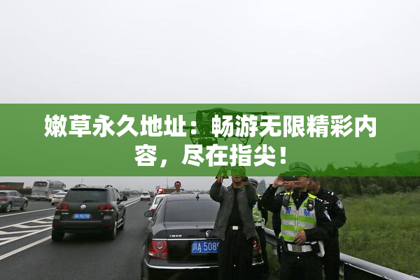 嫩草永久地址：畅游无限精彩内容，尽在指尖！