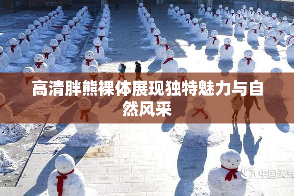 高清胖熊裸体展现独特魅力与自然风采
