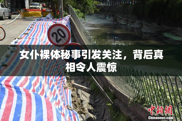 女仆裸体秘事引发关注，背后真相令人震惊