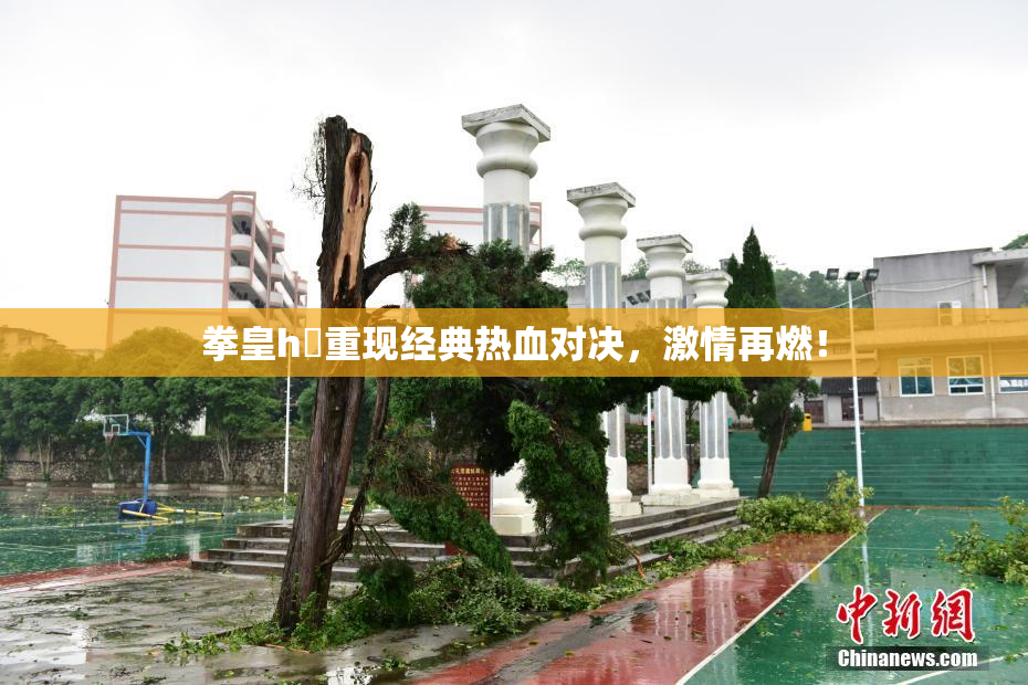拳皇h婬重现经典热血对决，激情再燃！