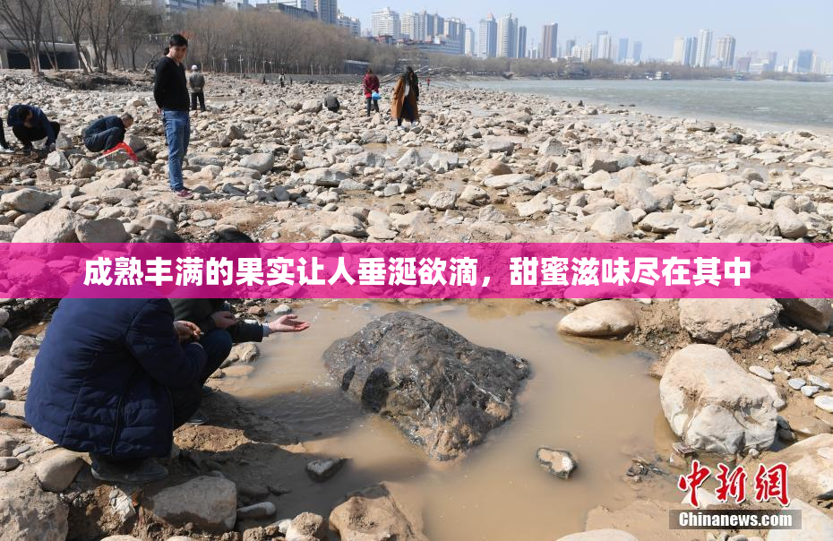 成熟丰满的果实让人垂涎欲滴，甜蜜滋味尽在其中