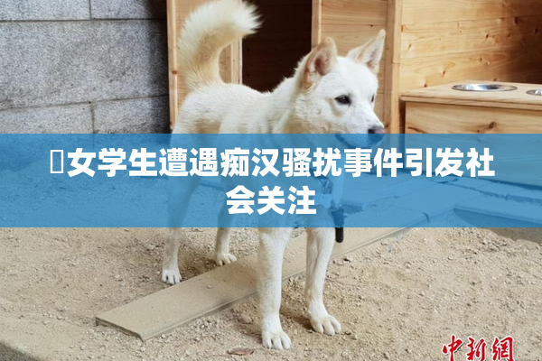 巜女学生遭遇痴汉骚扰事件引发社会关注