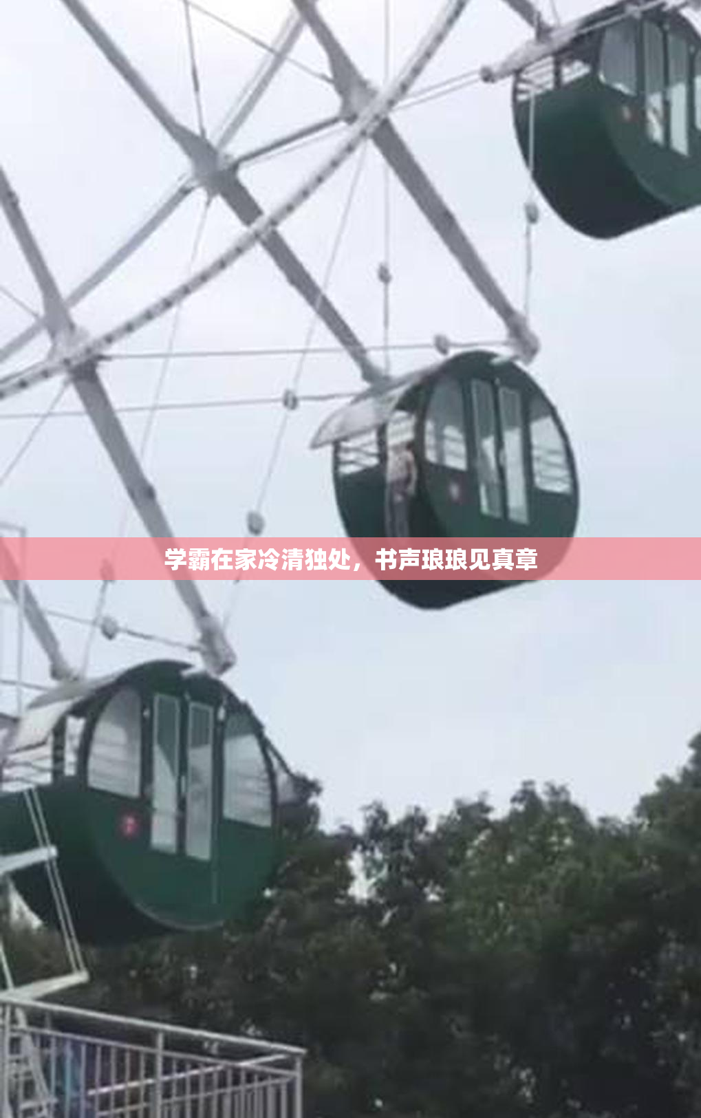 学霸在家冷清独处，书声琅琅见真章