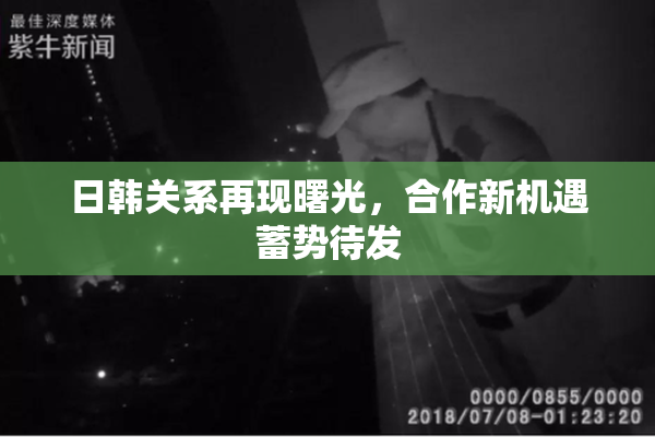 日韩关系再现曙光，合作新机遇蓄势待发