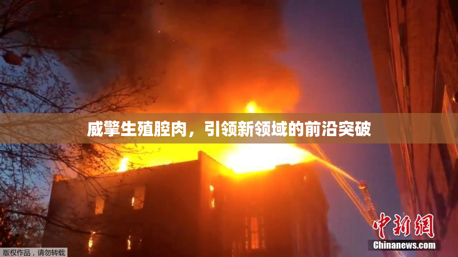 威擎生殖腔肉，引领新领域的前沿突破