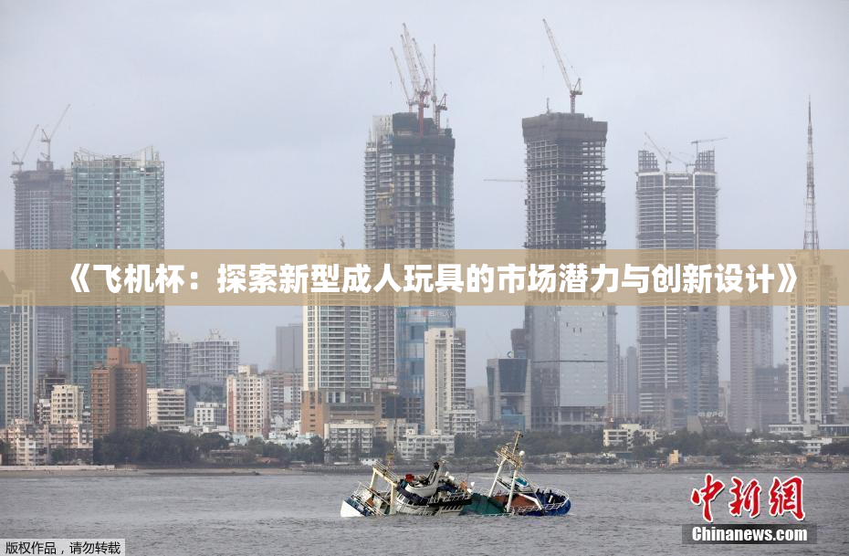 《飞机杯：探索新型成人玩具的市场潜力与创新设计》