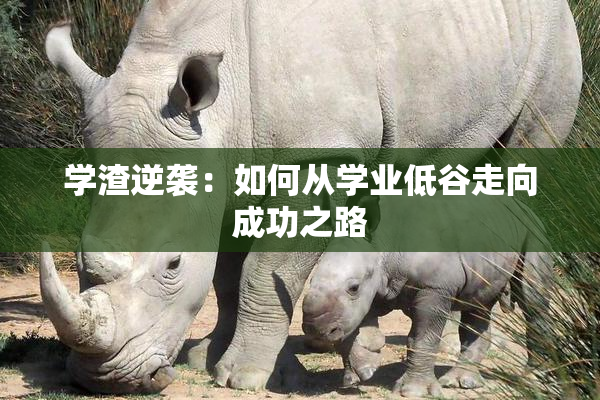 学渣逆袭：如何从学业低谷走向成功之路