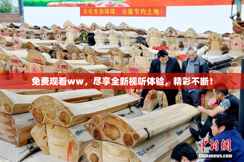 免费观看ww，尽享全新视听体验，精彩不断！