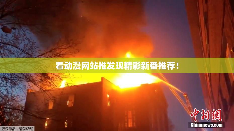 看动漫网站推发现精彩新番推荐！