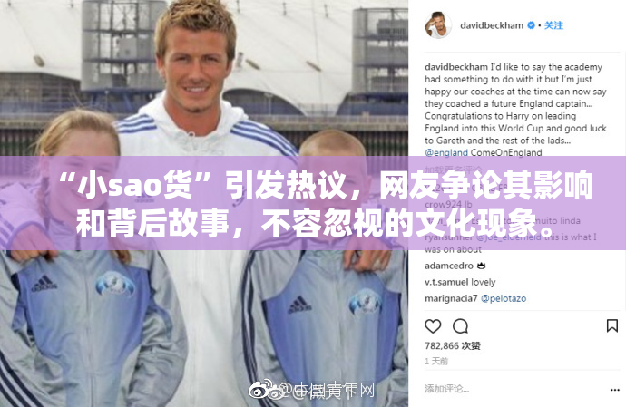 “小sao货”引发热议，网友争论其影响和背后故事，不容忽视的文化现象。