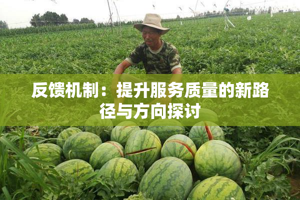 反馈机制：提升服务质量的新路径与方向探讨