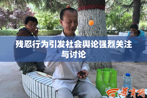残忍行为引发社会舆论强烈关注与讨论