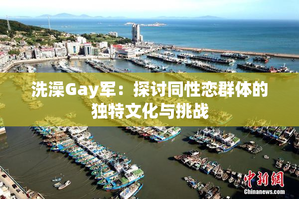 洗澡Gay军：探讨同性恋群体的独特文化与挑战