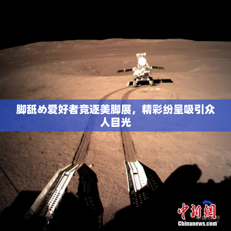 脚舐め爱好者竞逐美脚展，精彩纷呈吸引众人目光