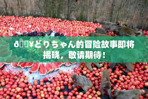 🔥どりちゃん的冒险故事即将揭晓，敬请期待！