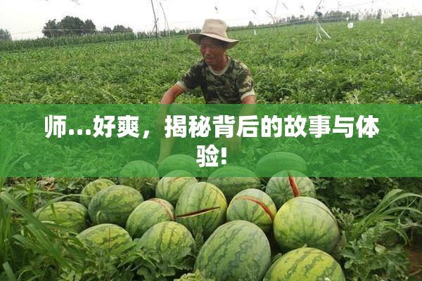 师…好爽，揭秘背后的故事与体验!