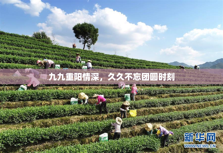九九重阳情深，久久不忘团圆时刻