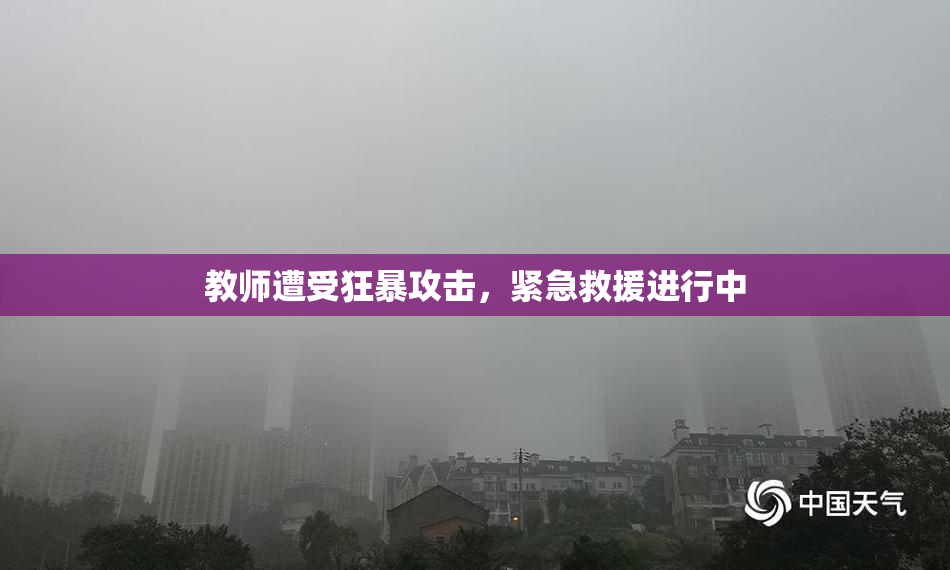 教师遭受狂暴攻击，紧急救援进行中